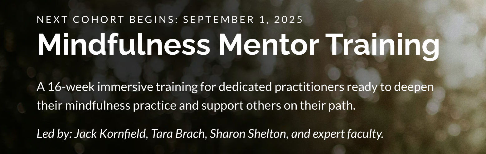 Mindfulness Mentor Training